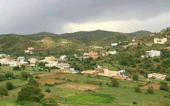 بلجرشي